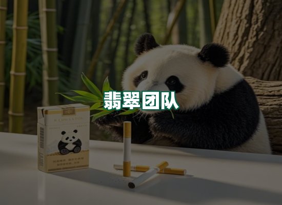 翡翠团队